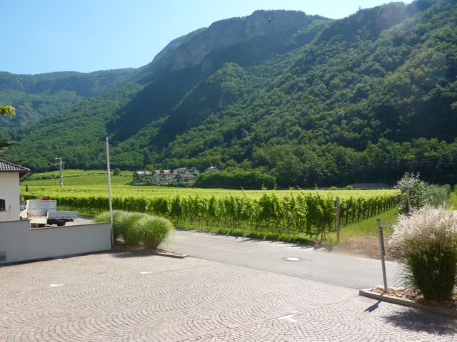 View of Terlano vineyards